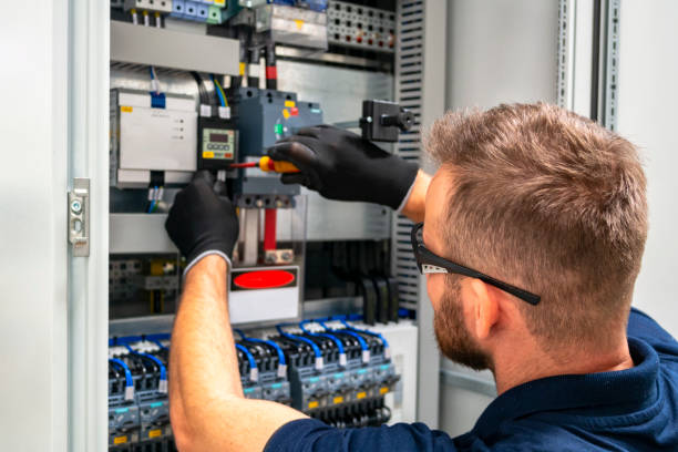 Best Electric Panel Repair  in Lakeview, OH